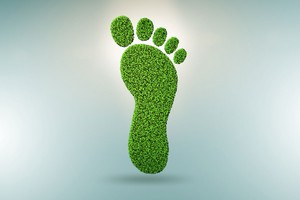 Polifibra Determines CO2-Footprint